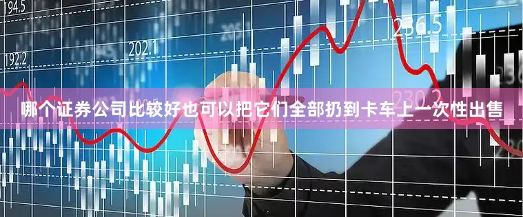 哪个证券公司比较好也可以把它们全部扔到卡车上一次性出售