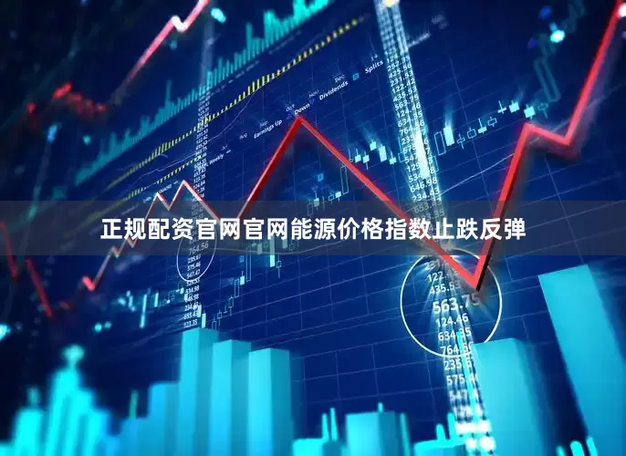 正规配资官网官网能源价格指数止跌反弹
