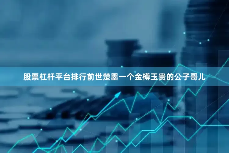 股票杠杆平台排行前世楚墨一个金樽玉贵的公子哥儿