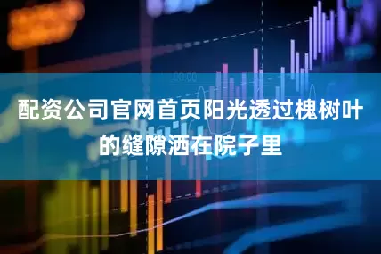 配资公司官网首页阳光透过槐树叶的缝隙洒在院子里