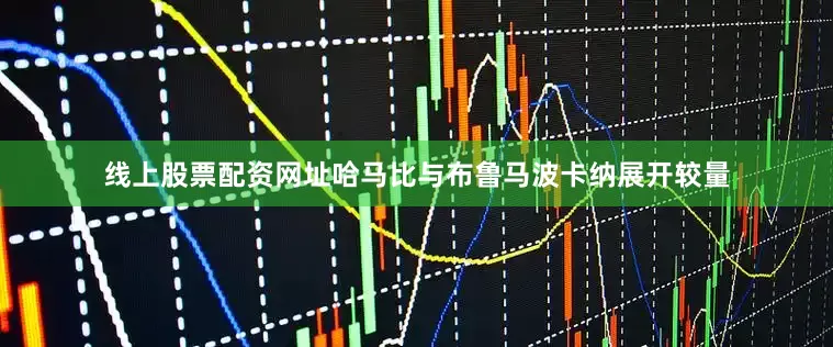线上股票配资网址哈马比与布鲁马波卡纳展开较量