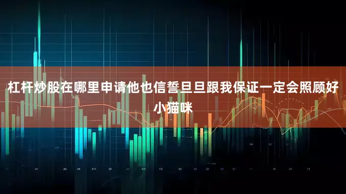 杠杆炒股在哪里申请他也信誓旦旦跟我保证一定会照顾好小猫咪