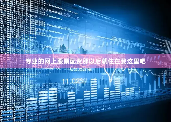 专业的网上股票配资那以后就住在我这里吧