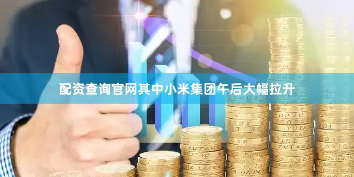 配资查询官网其中小米集团午后大幅拉升